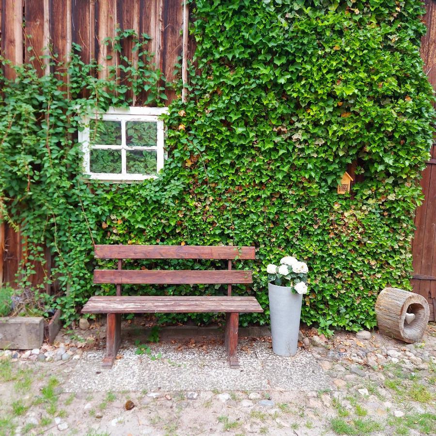Roehrshof Appartement Bispingen Buitenkant foto