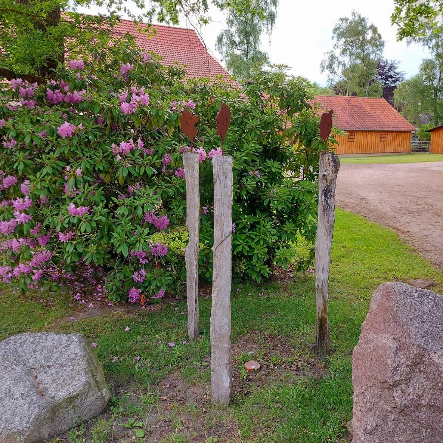 Roehrshof Appartement Bispingen Buitenkant foto