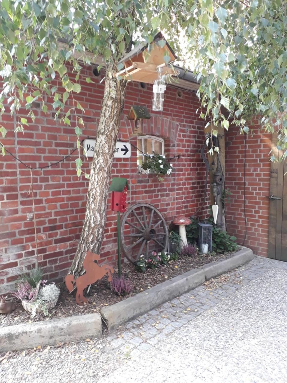 Roehrshof Appartement Bispingen Buitenkant foto
